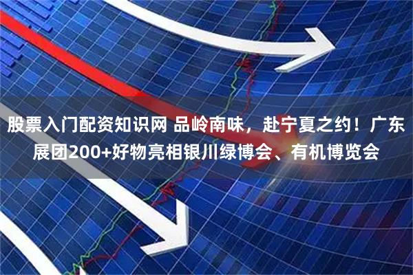 股票入门配资知识网 品岭南味，赴宁夏之约！广东展团200+好物亮相银川绿博会、有机博览会