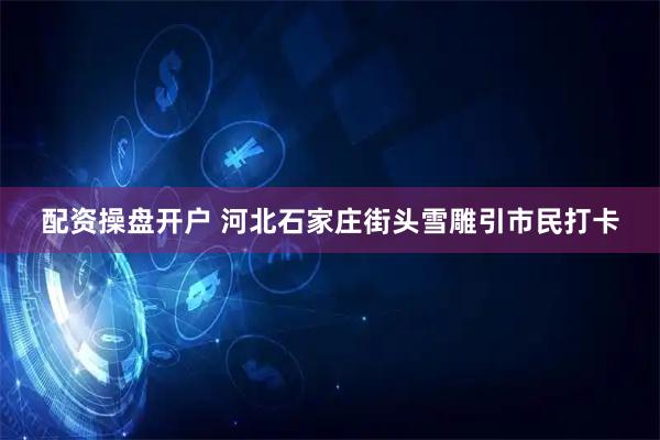 配资操盘开户 河北石家庄街头雪雕引市民打卡