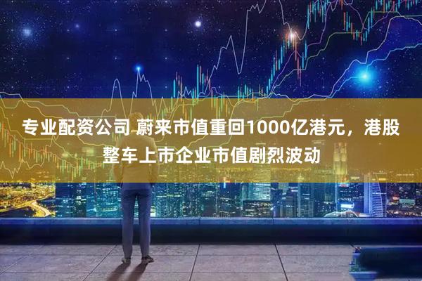 专业配资公司 蔚来市值重回1000亿港元，港股整车上市企业市值剧烈波动