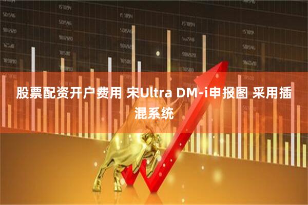 股票配资开户费用 宋Ultra DM-i申报图 采用插混系统