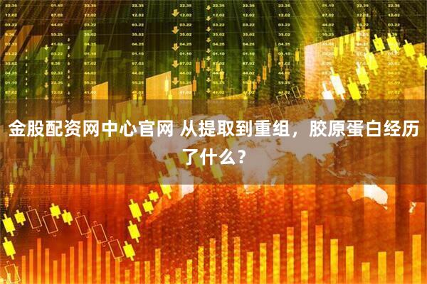 金股配资网中心官网 从提取到重组，胶原蛋白经历了什么？